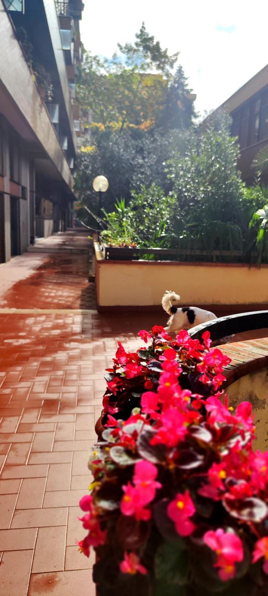 Gemme Fiorentine Apartments In Front Of The Train Station 5 Minutes From The Centre Free Parking Florence Luaran gambar