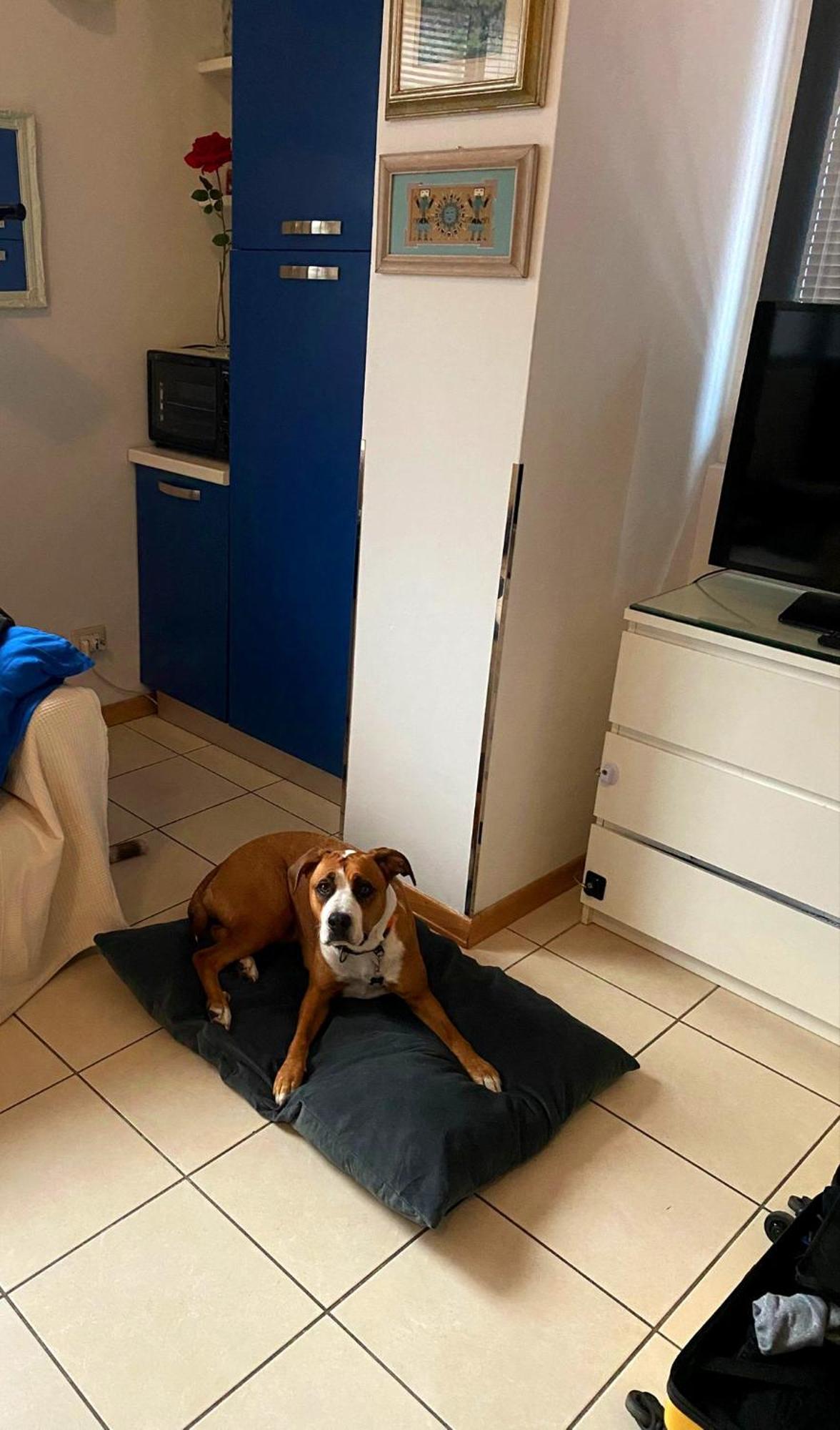 Gemme Fiorentine Apartments In Front Of The Train Station 5 Minutes From The Centre Free Parking Florence Luaran gambar