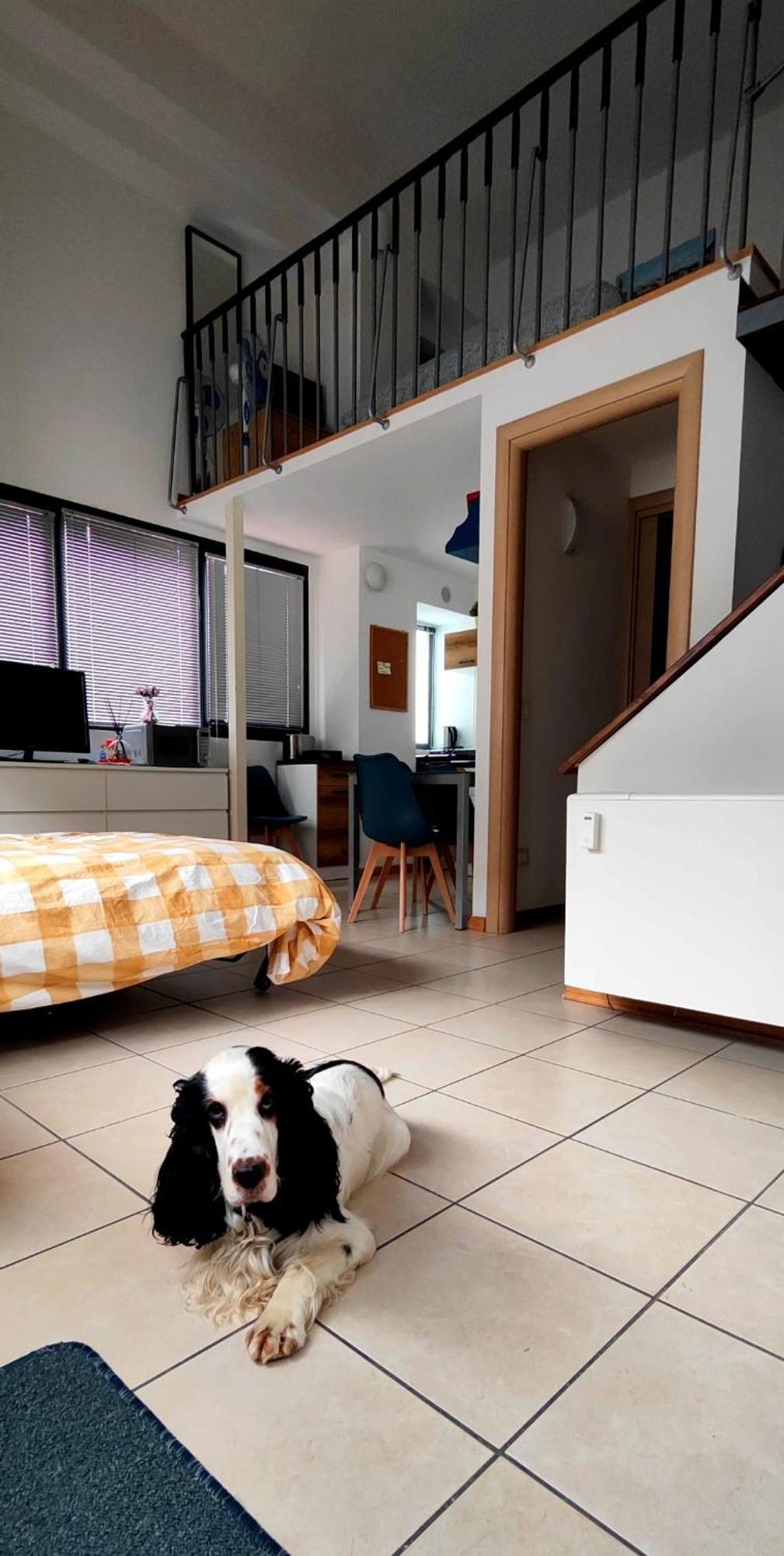 Gemme Fiorentine Apartments In Front Of The Train Station 5 Minutes From The Centre Free Parking Florence Luaran gambar